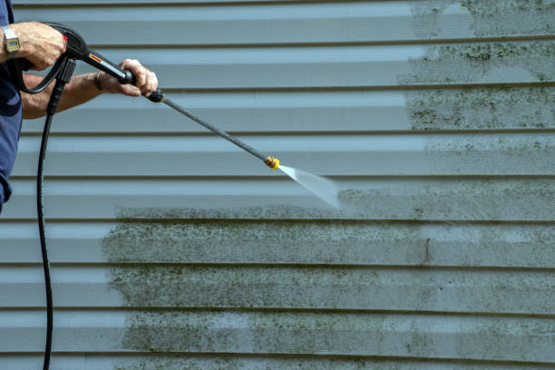 Best Pressure Washing Driveway  in New Paleste, IN