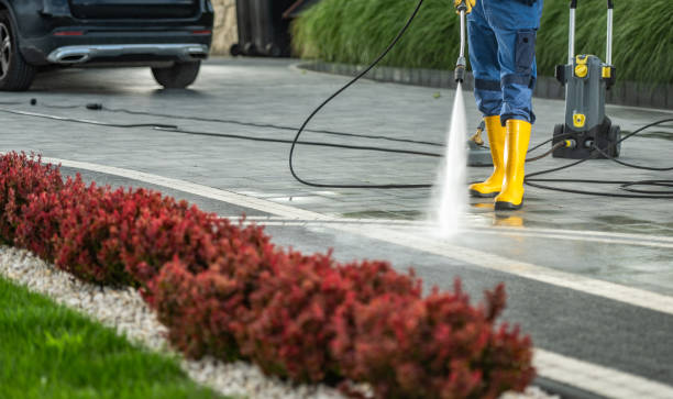 Local Pressure Washing Services in New Palestine, IN