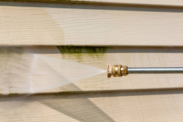 Best Pressure Washing Siding  in New Paleste, IN